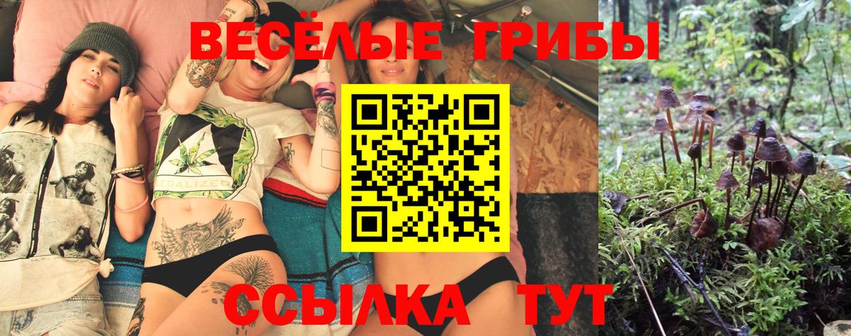 Каменск-Уральский  Галлюциногенные грибы Psilocybe  Вход с VPN 