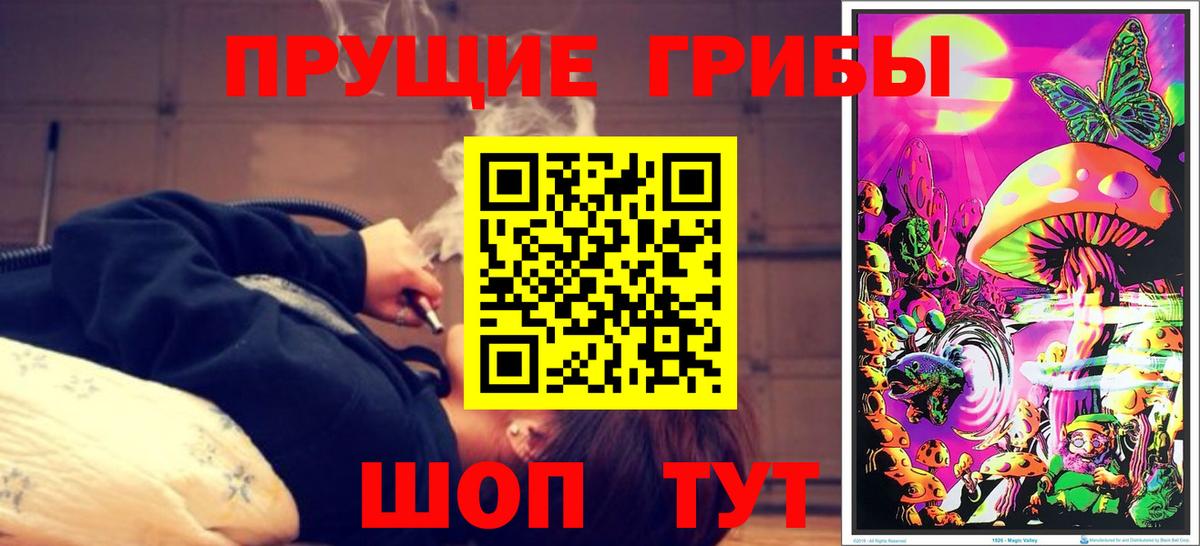 Галлюциногенные грибы Cubensis Каменск-Уральский