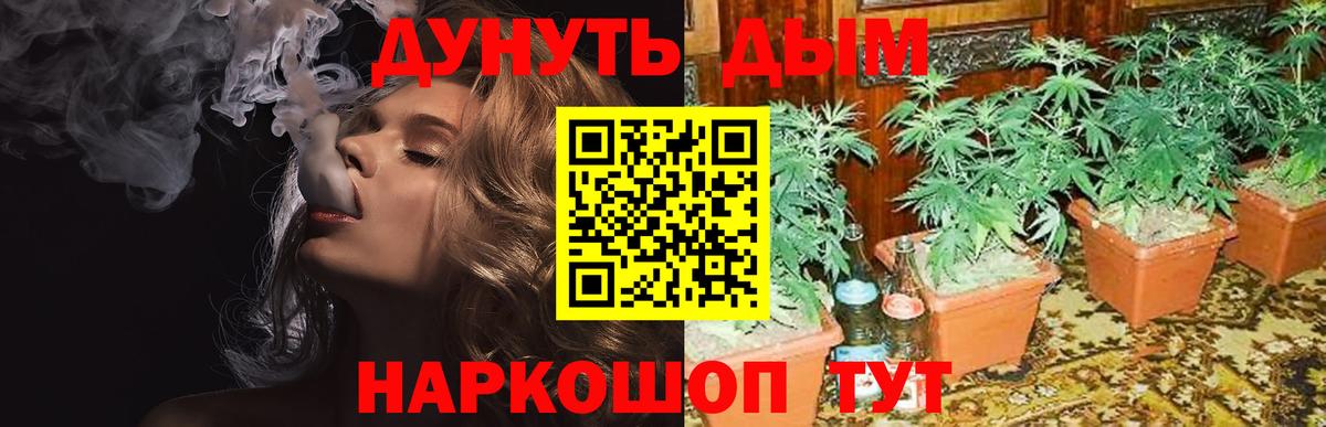 МАРИХУАНА THC 21%  Конопля AK-47  Вход с VPN  Марихуана White Widow  МАРИХУАНА Bruce Banner  Каменск-Уральский 